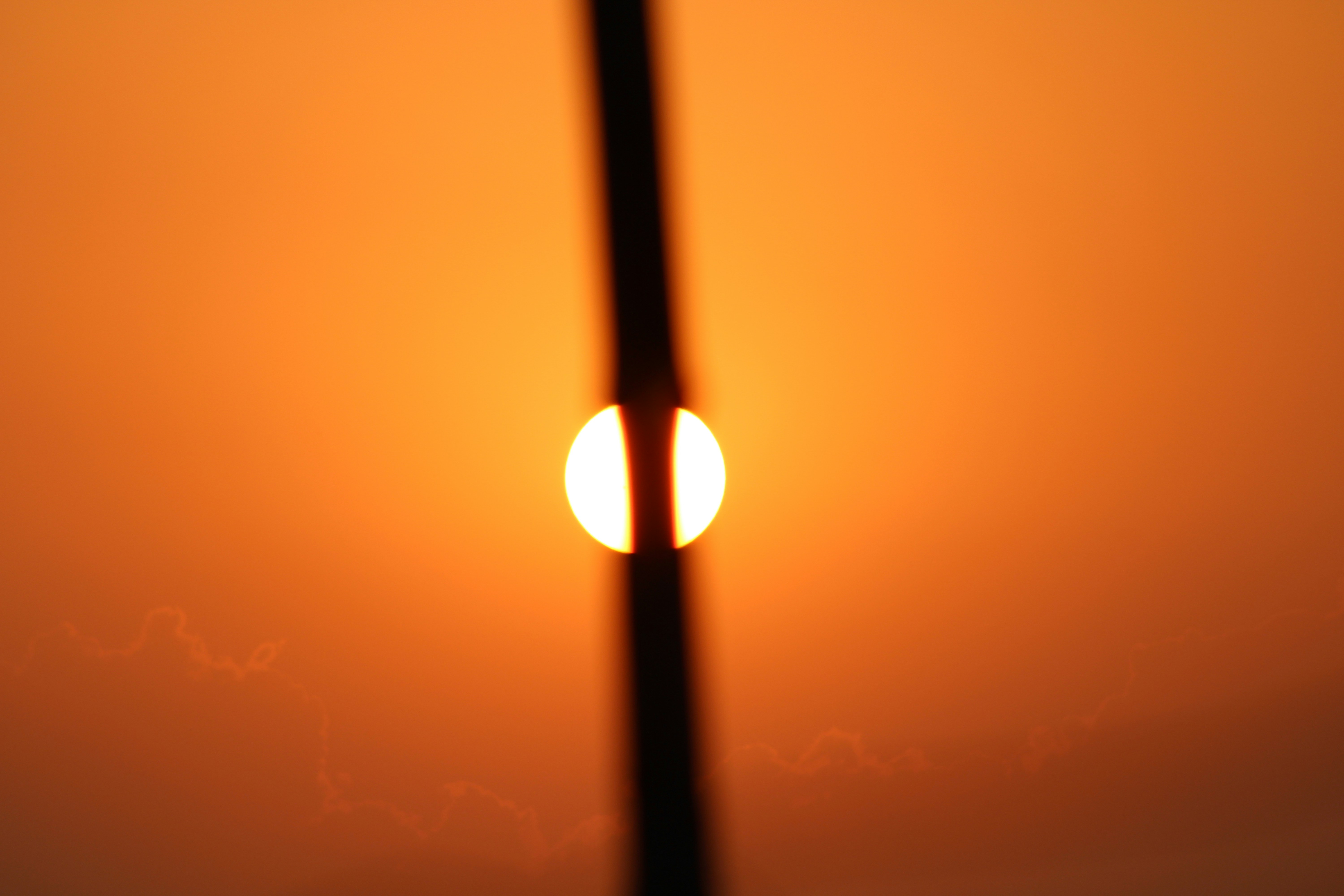 Photo by photoloveramico