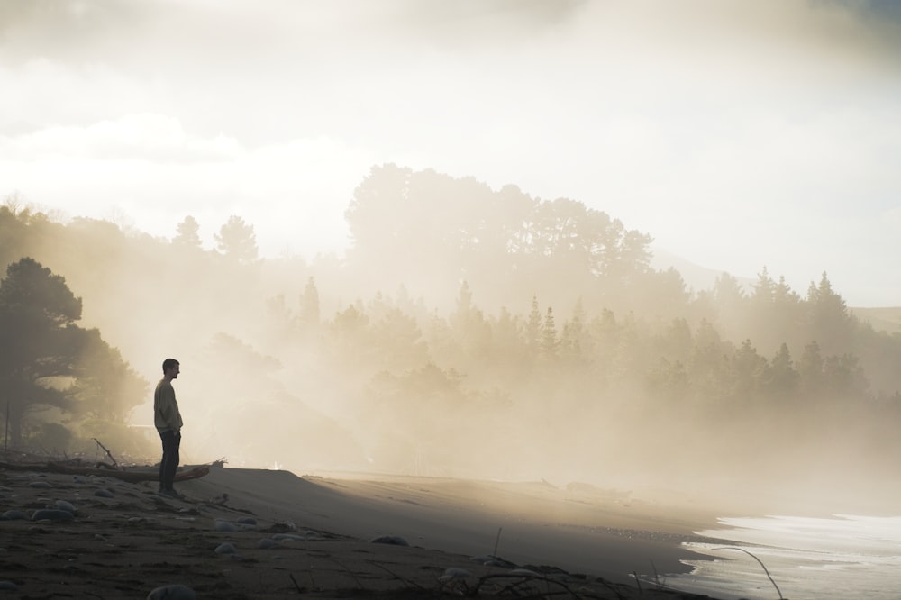 a person standing on a beach near a body of water