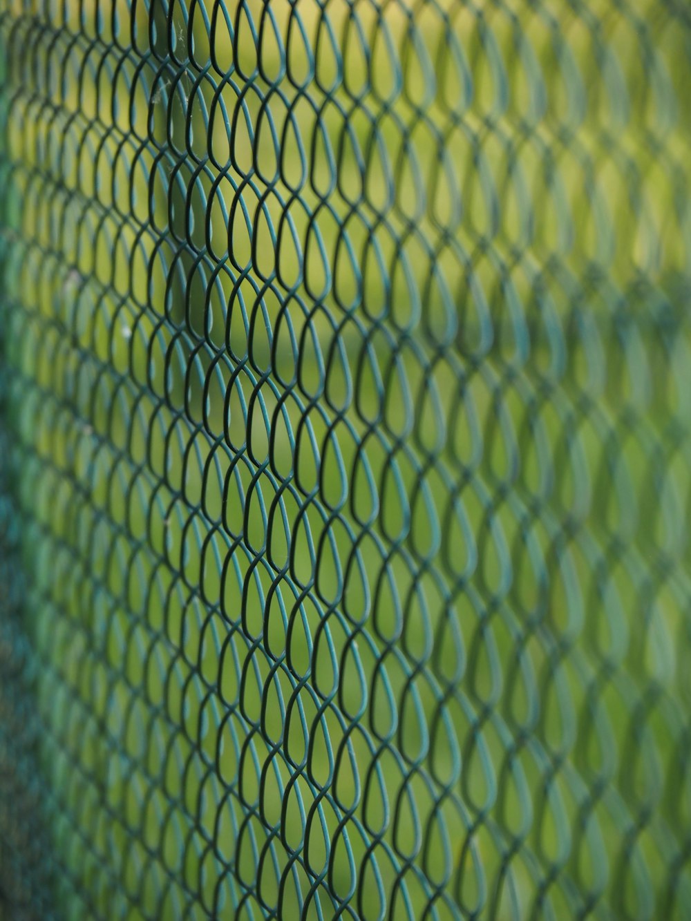a close up view of a green fence