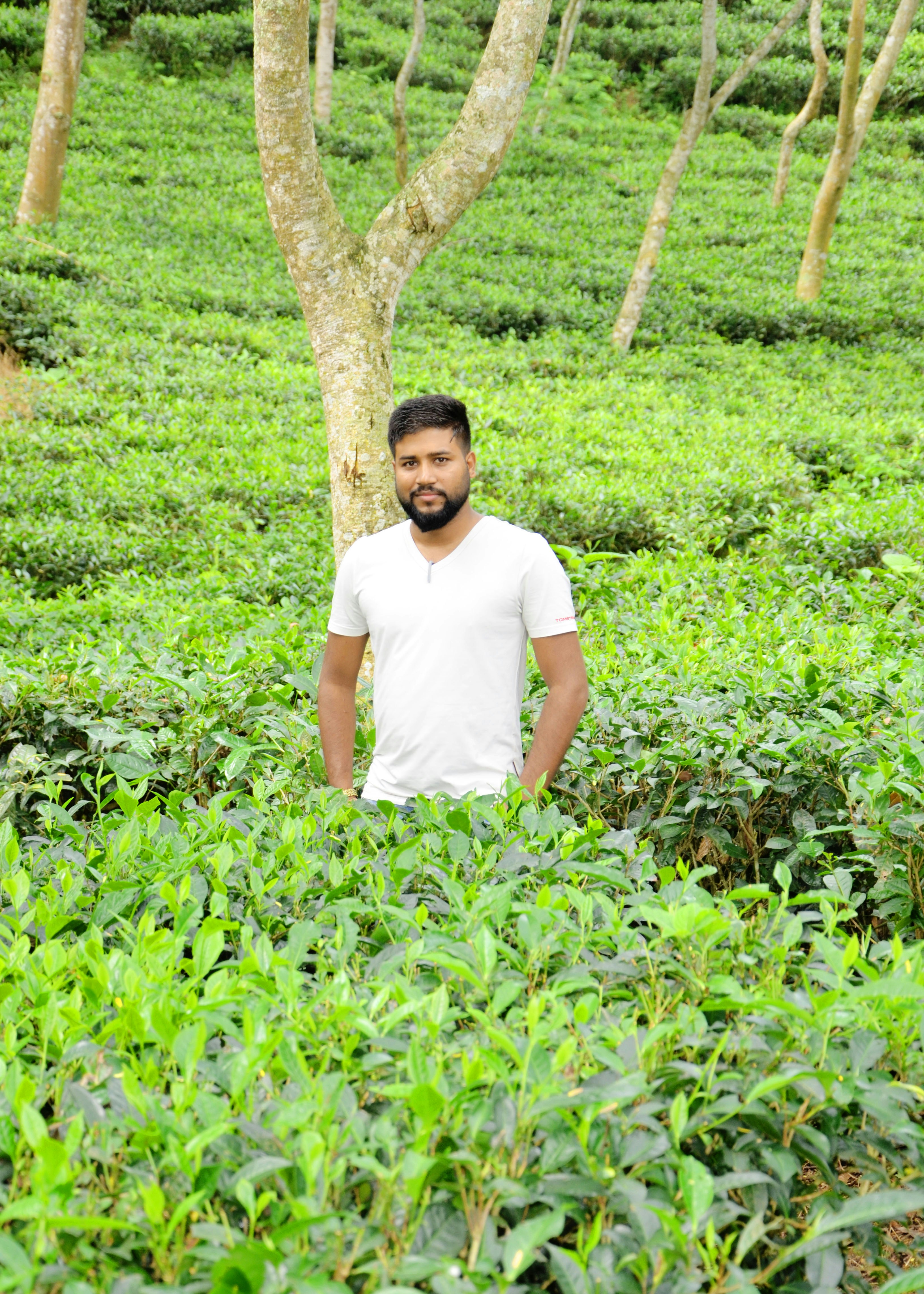 A man standing in the middle of a lush green field photo – Free Land ...