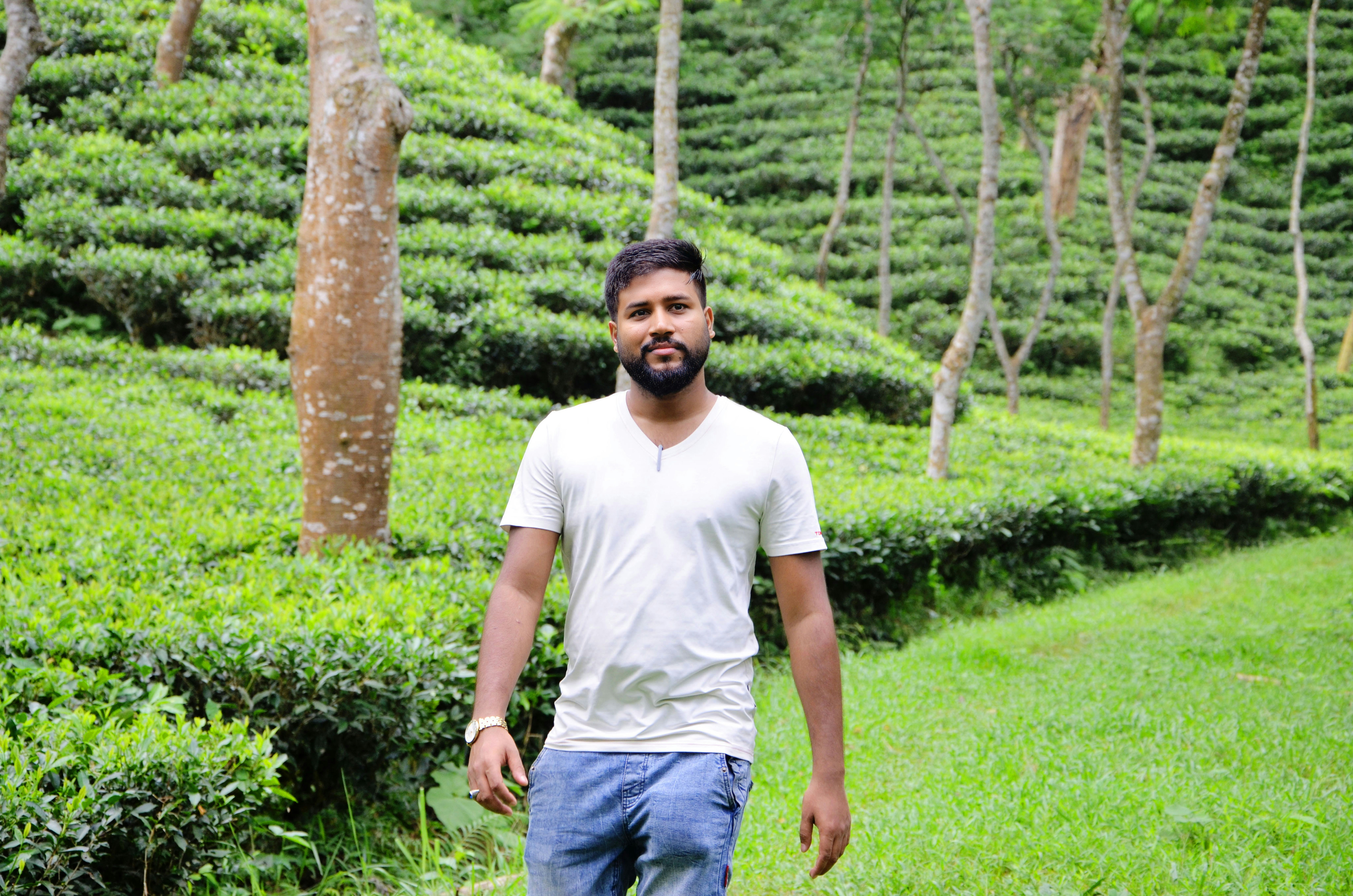 Tea Avenue