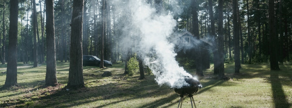 a smokestack in the middle of a wooded area