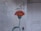 A simple wall mural featuring a red flower with yellow accents and a green stem, accompanied by Arabic script in black. The background is an uneven, light-colored surface that appears weathered.