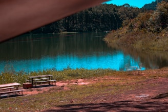 A picturesque view of a rejuvenated lake managed by Greendeer Ventures.