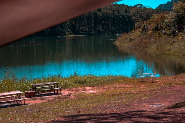 A picturesque view of a rejuvenated lake managed by Greendeer Ventures.