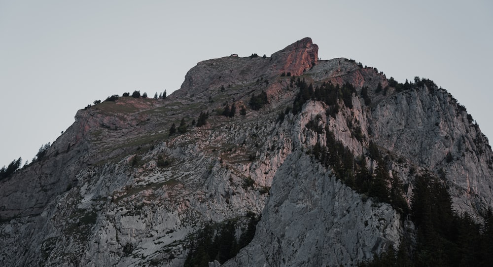 a tall mountain with trees on top of it