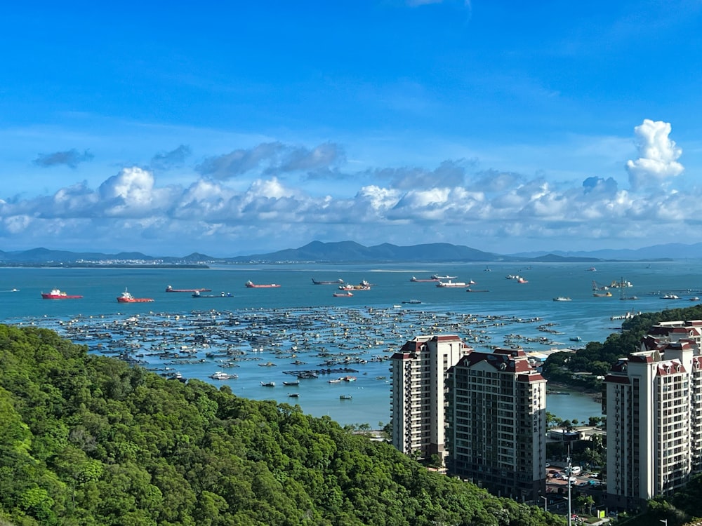 a large body of water filled with lots of boats