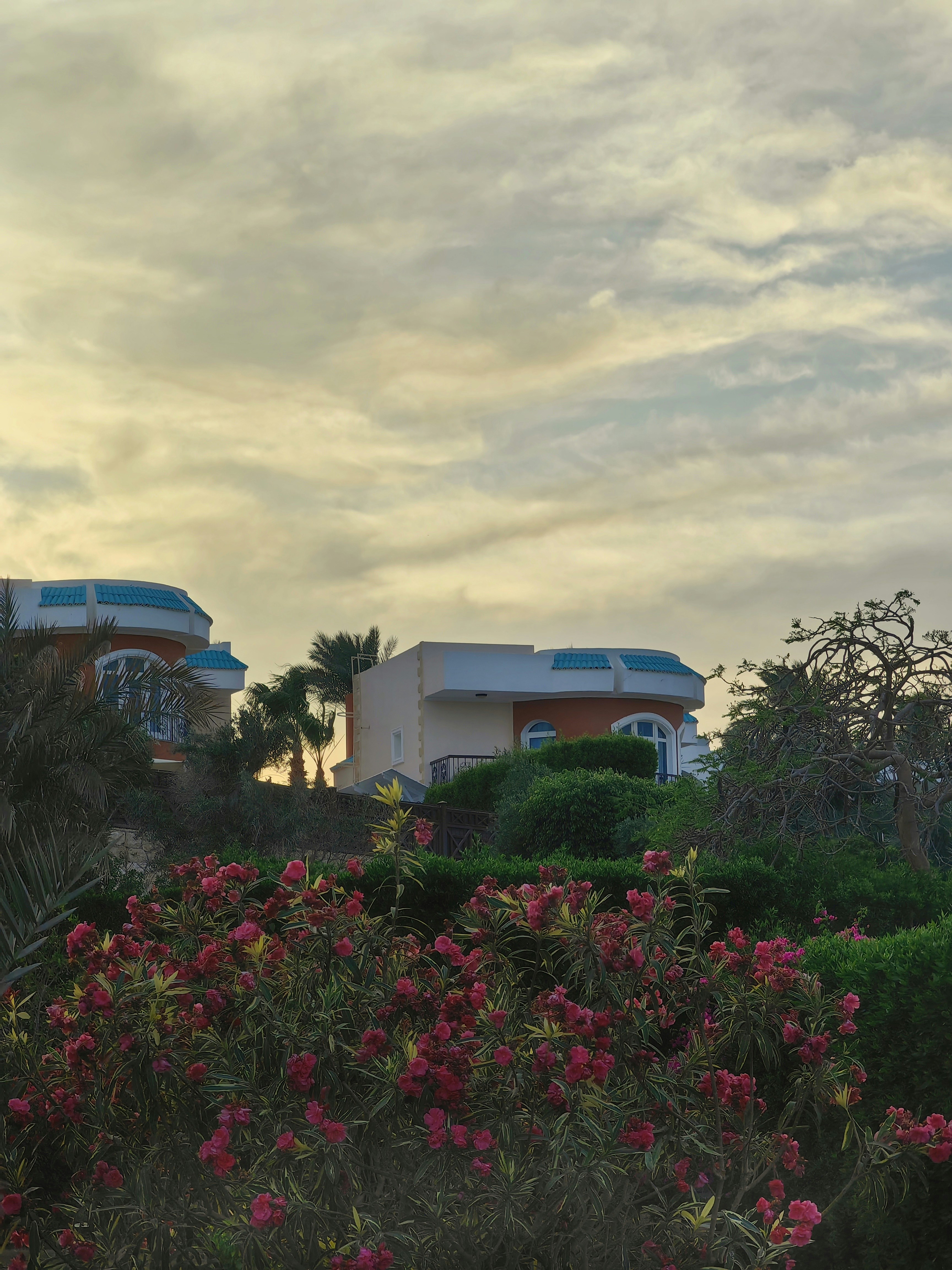 Cozy villa exterior with lush green garden in Da Lat under soft morning light