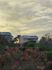 Beautiful garden view surrounding the villa with blooming flowers.