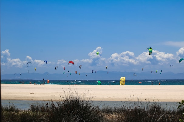 A panoramic view of a famous Brazilian kitesurfing spot with colorful kites in the air.