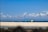 A vibrant beach scene with kiteboarders soaring above the waves against a clear blue sky.