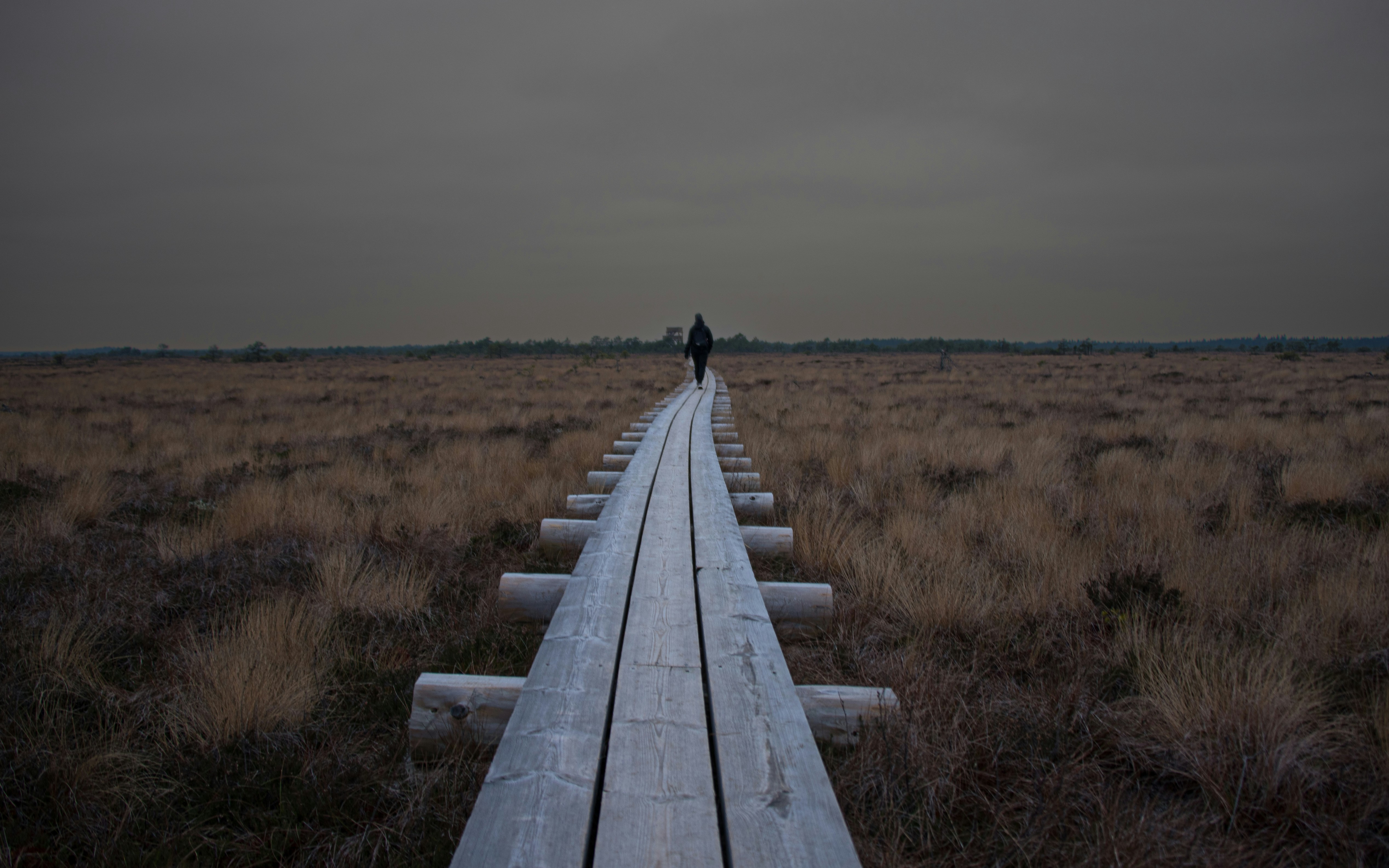 A long wooden boardwalk stretching into the distance through Marimetsa Bog. The boardwalk is elevated slightly above the bog, with logs supporting it on either side. The landscape is flat and open, covered with sparse, dry grasses and low vegetation typical of a bog environment. The sky is overcast, casting a dim light over the scene, adding to the moody and tranquil atmosphere.