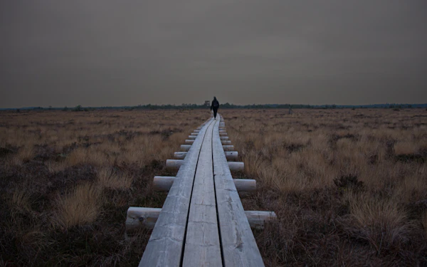 Estonian coastal hiking trail
