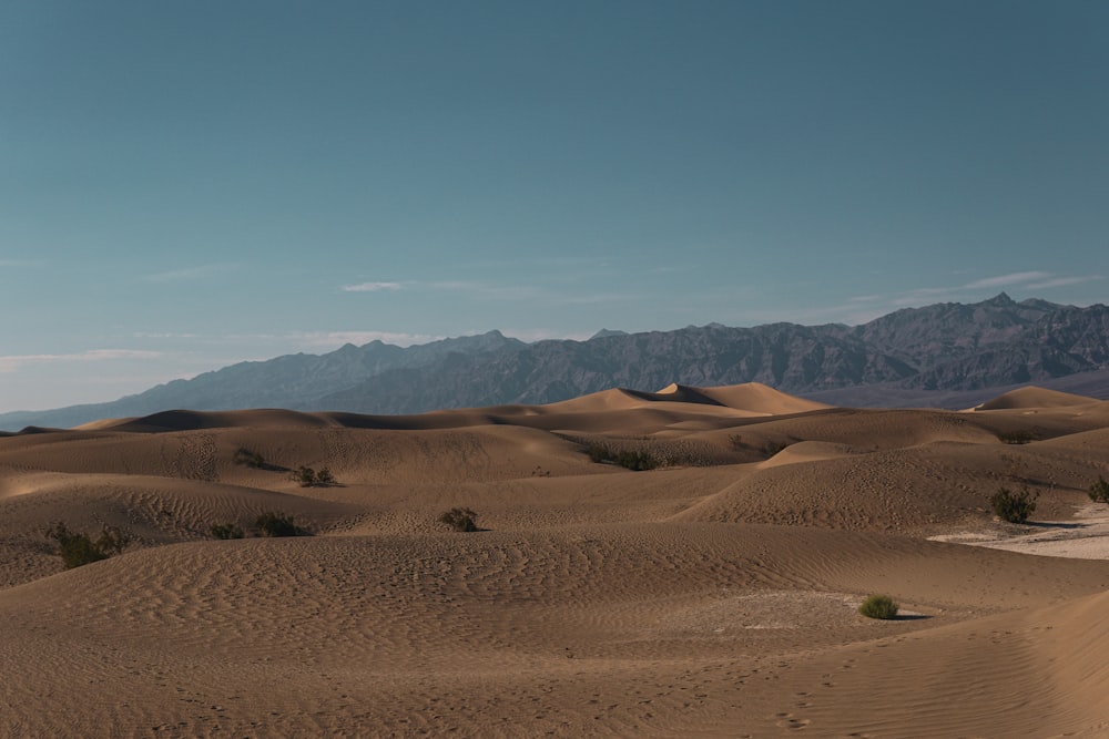 a desert landscape with mountains in the distance