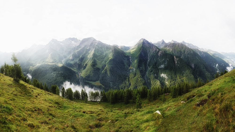 a grassy field with a mountain range in the background