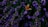 A vibrant butterfly with orange and black patterned wings perches delicately atop a cluster of lush purple flowers surrounded by verdant green foliage. The scene is filled with natural beauty and tranquility.