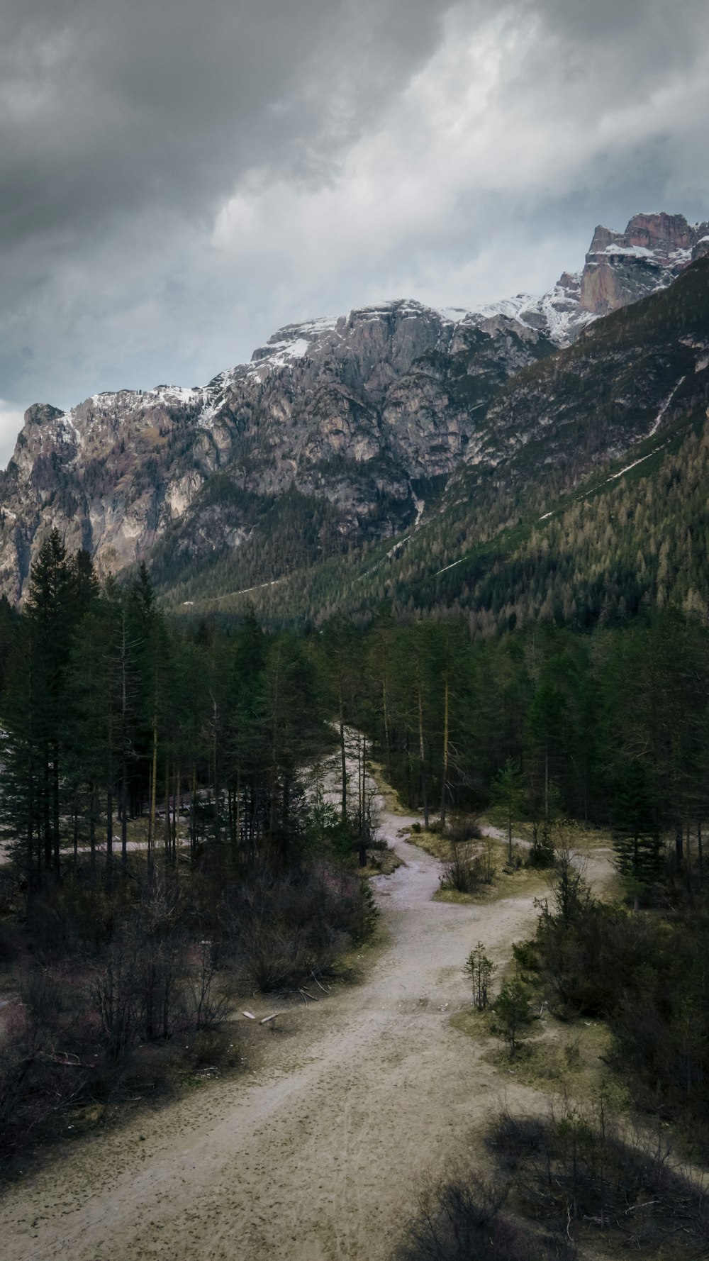 a dirt road in the middle of a forest