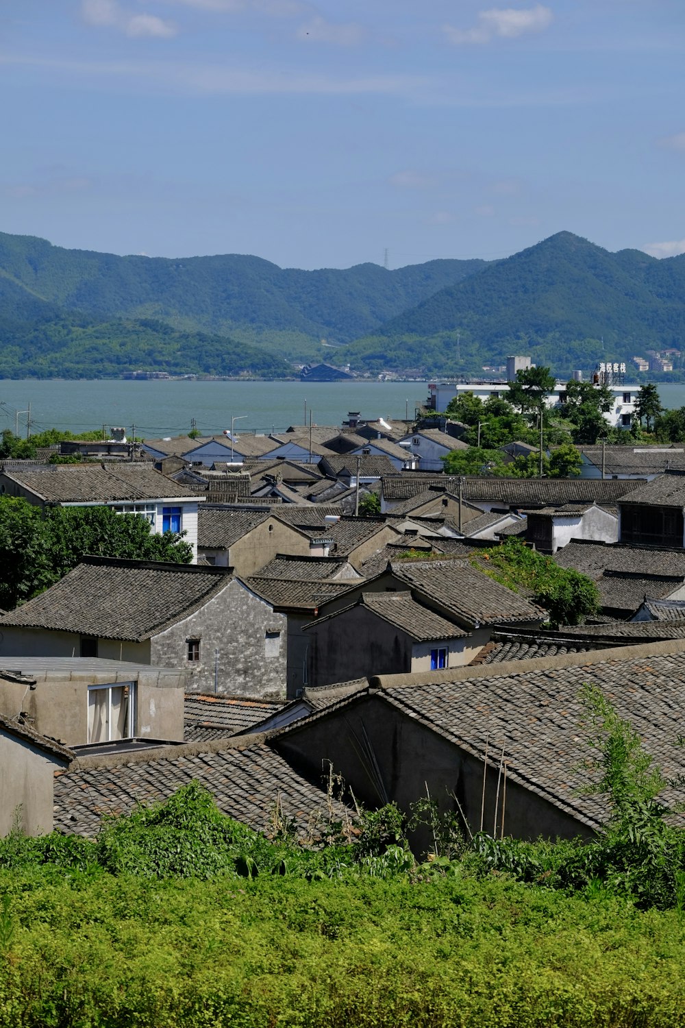 a view of a village with mountains in the background