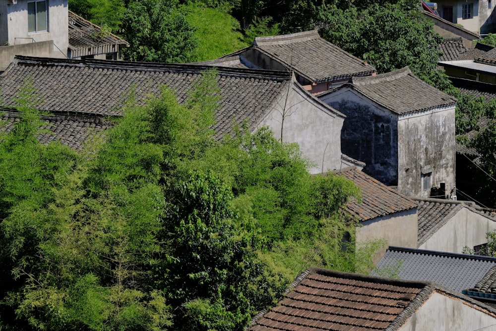 an aerial view of rooftops and trees in a city