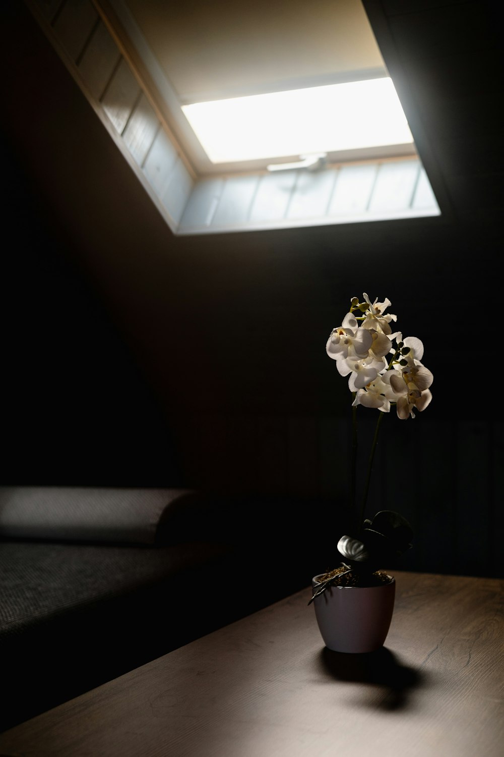 a small potted plant sitting on top of a wooden table