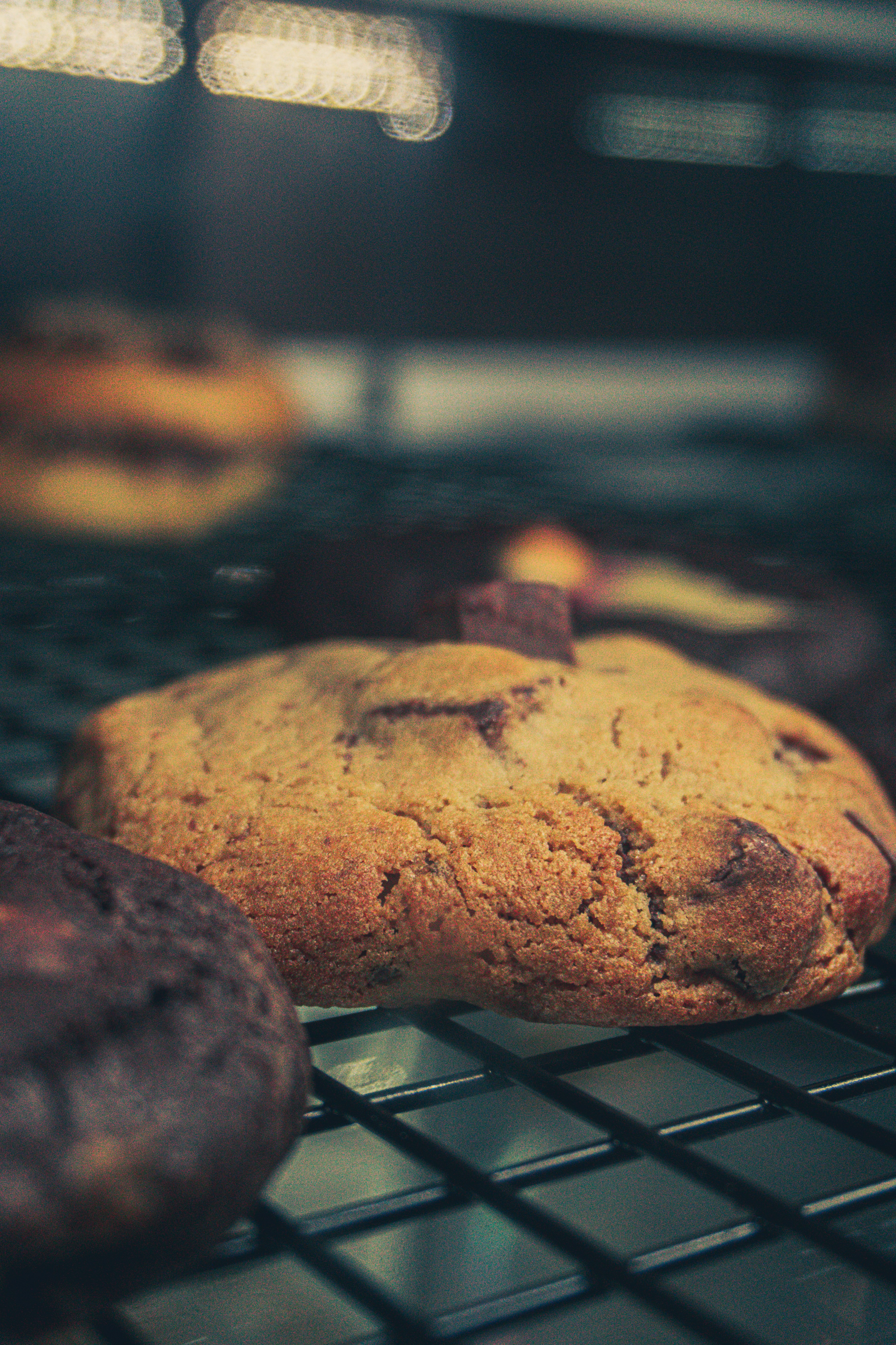 Photo by andreicastanha