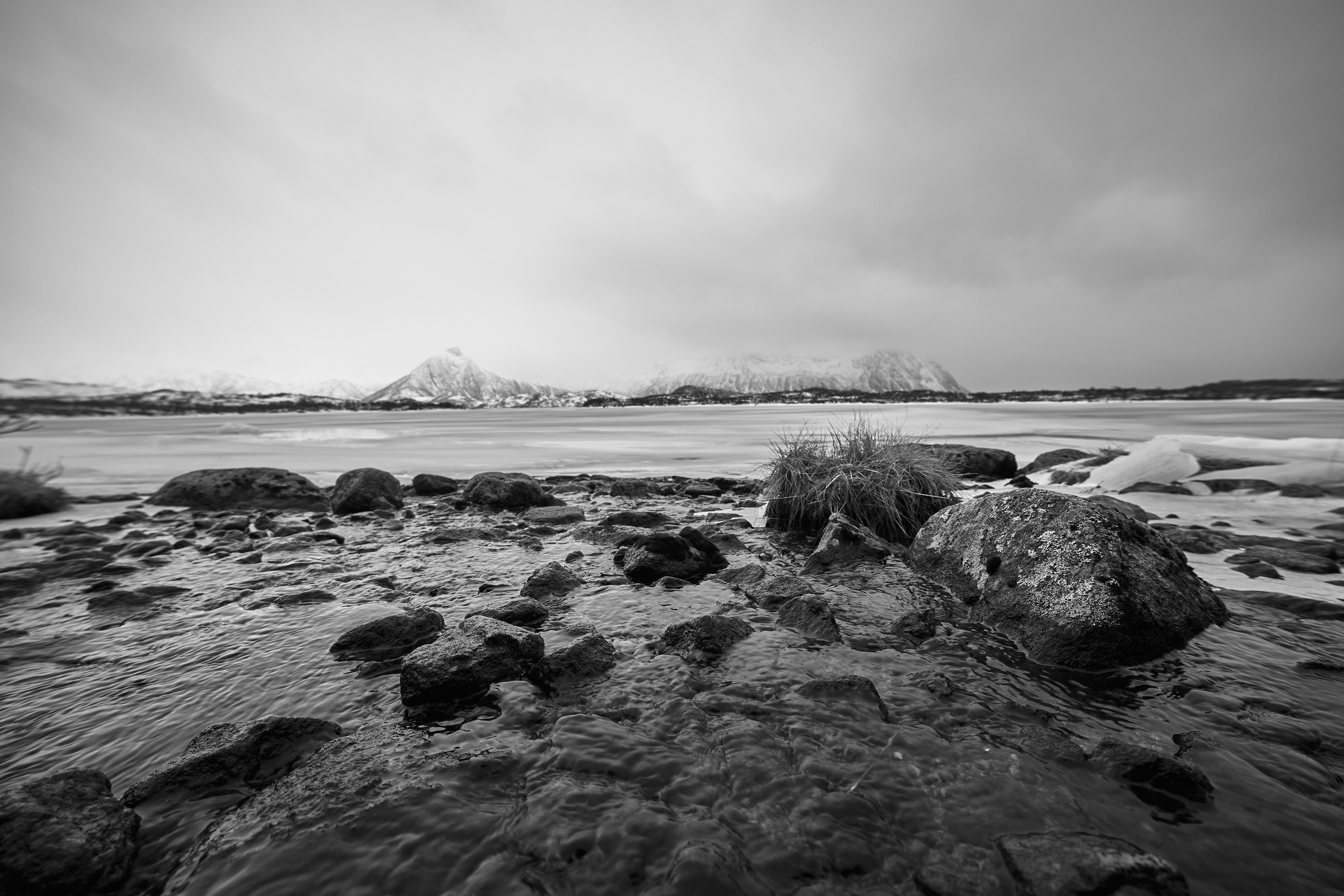 Photo by wolfgang_hasselmann