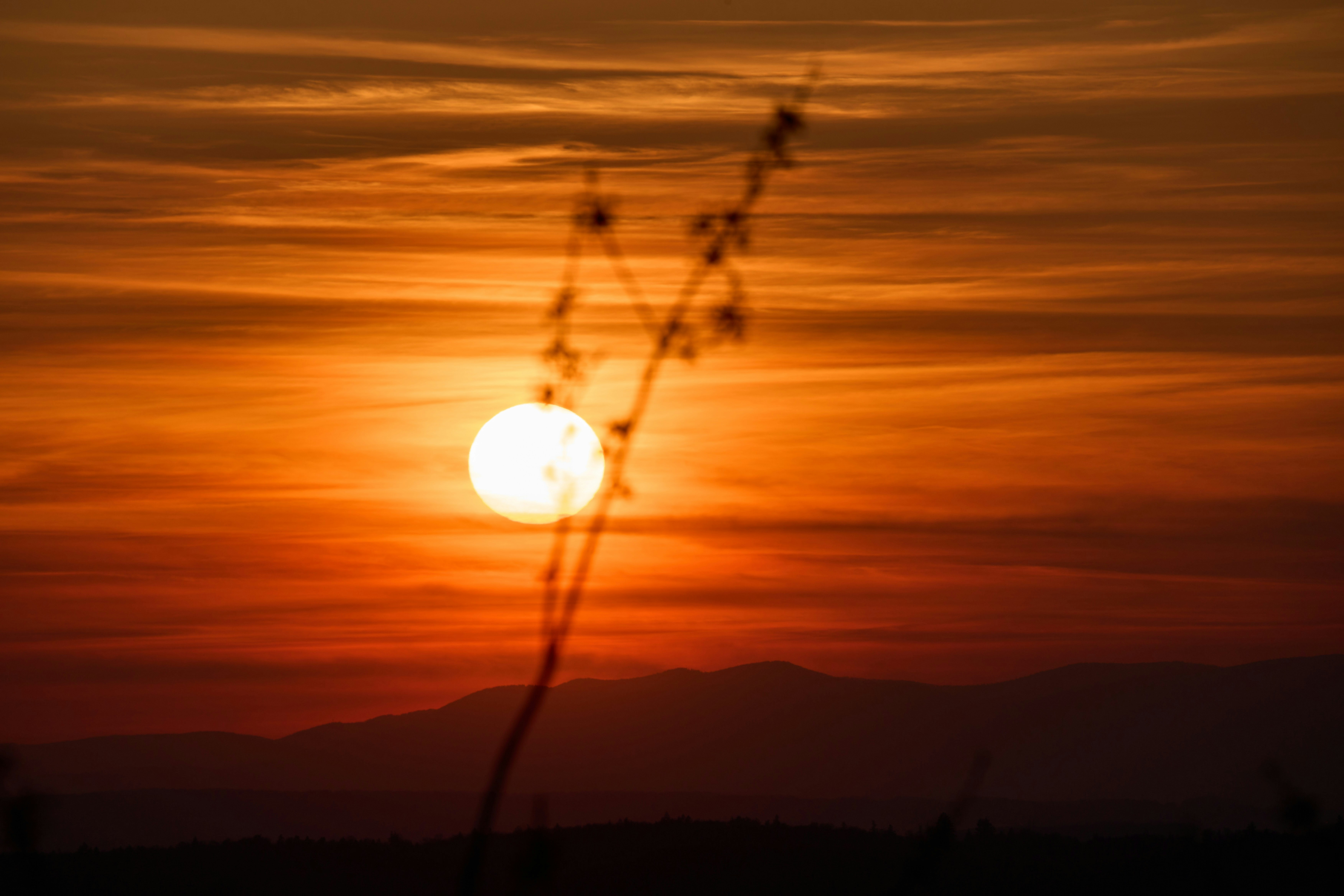 Photo by wolfgang_hasselmann