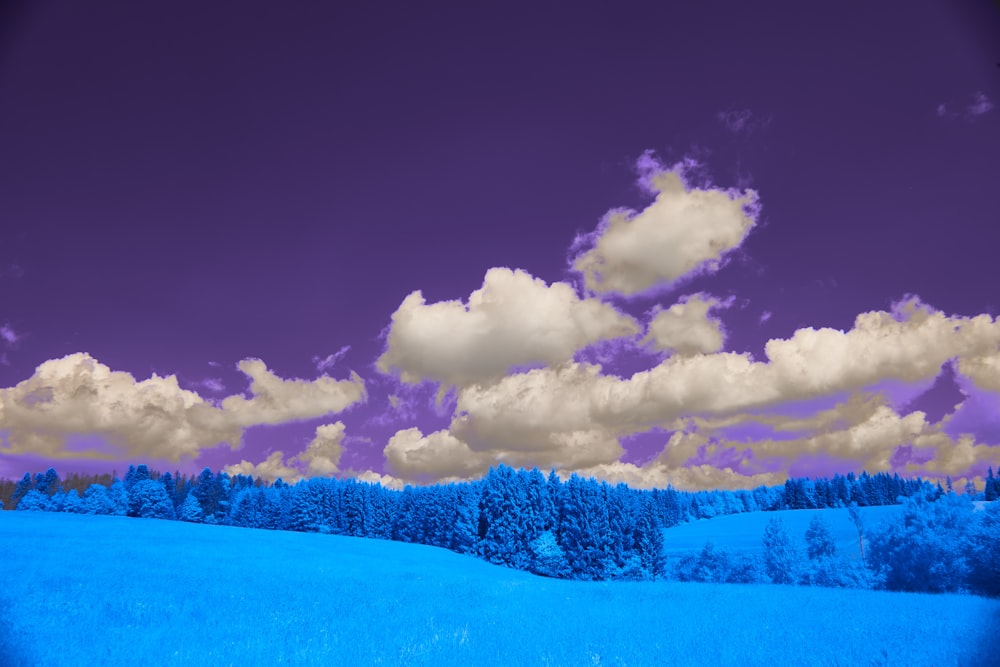 a blue field with trees and clouds in the background