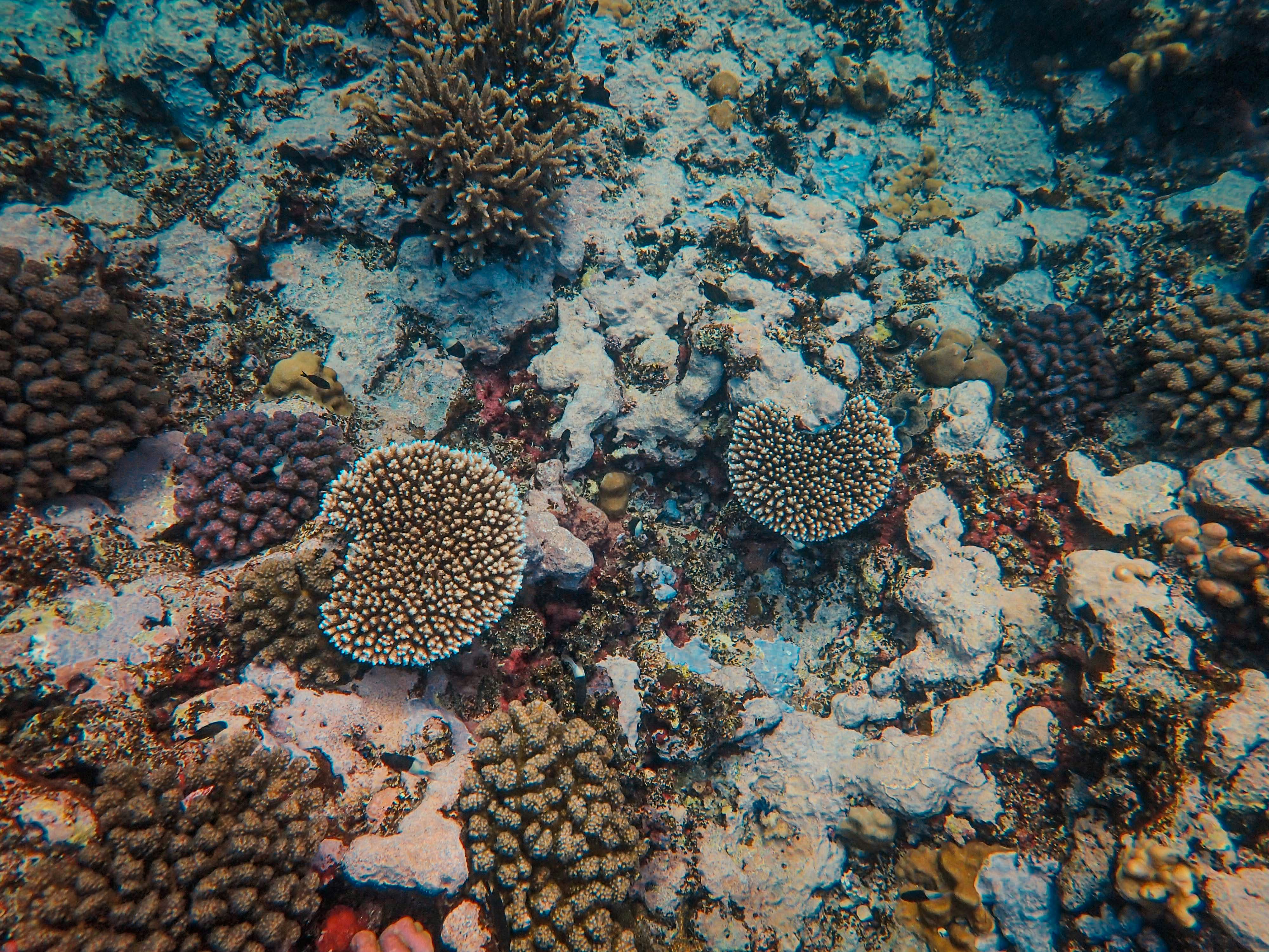 Photo by francesco_ungaro