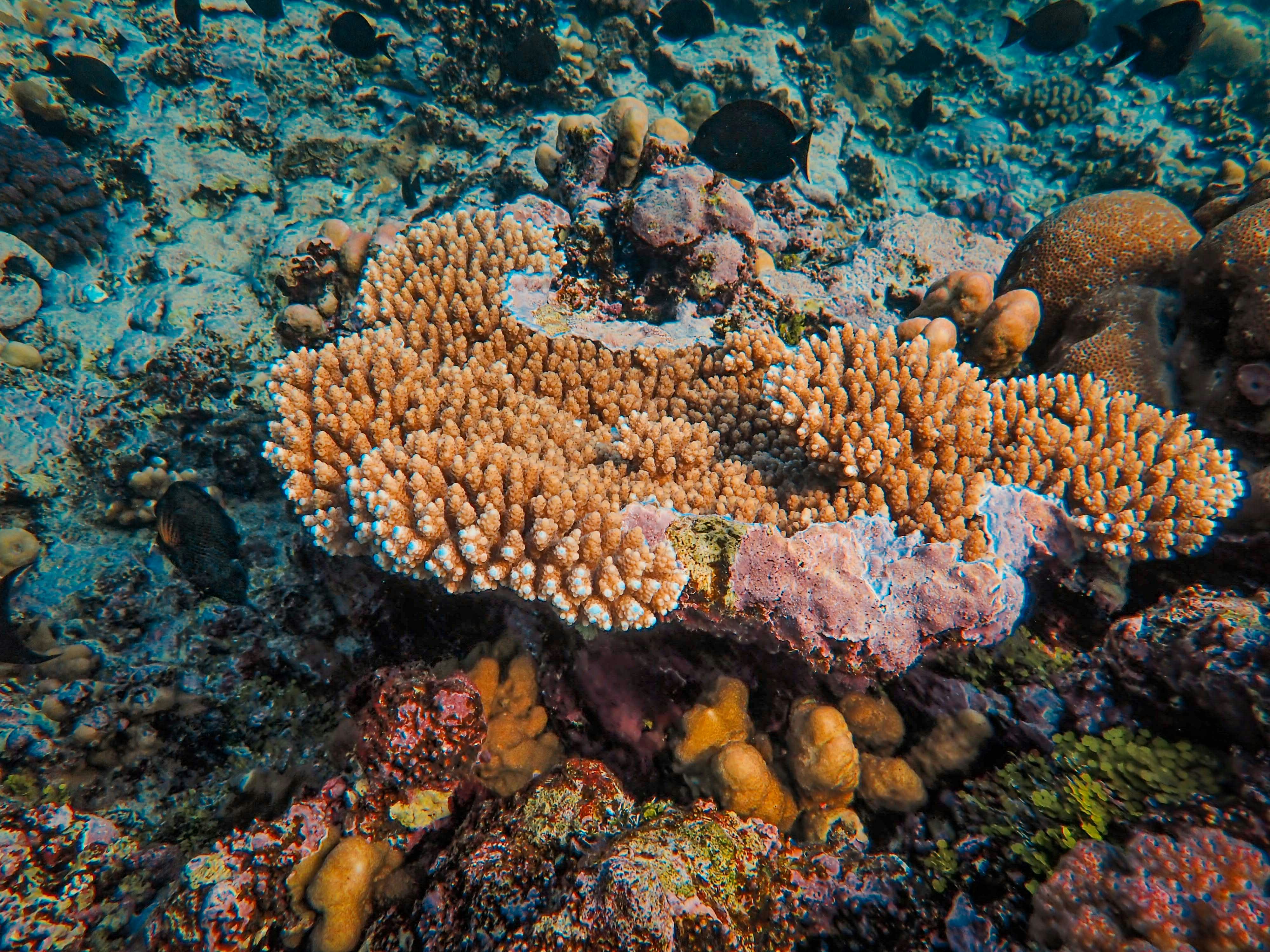 Photo by francesco_ungaro