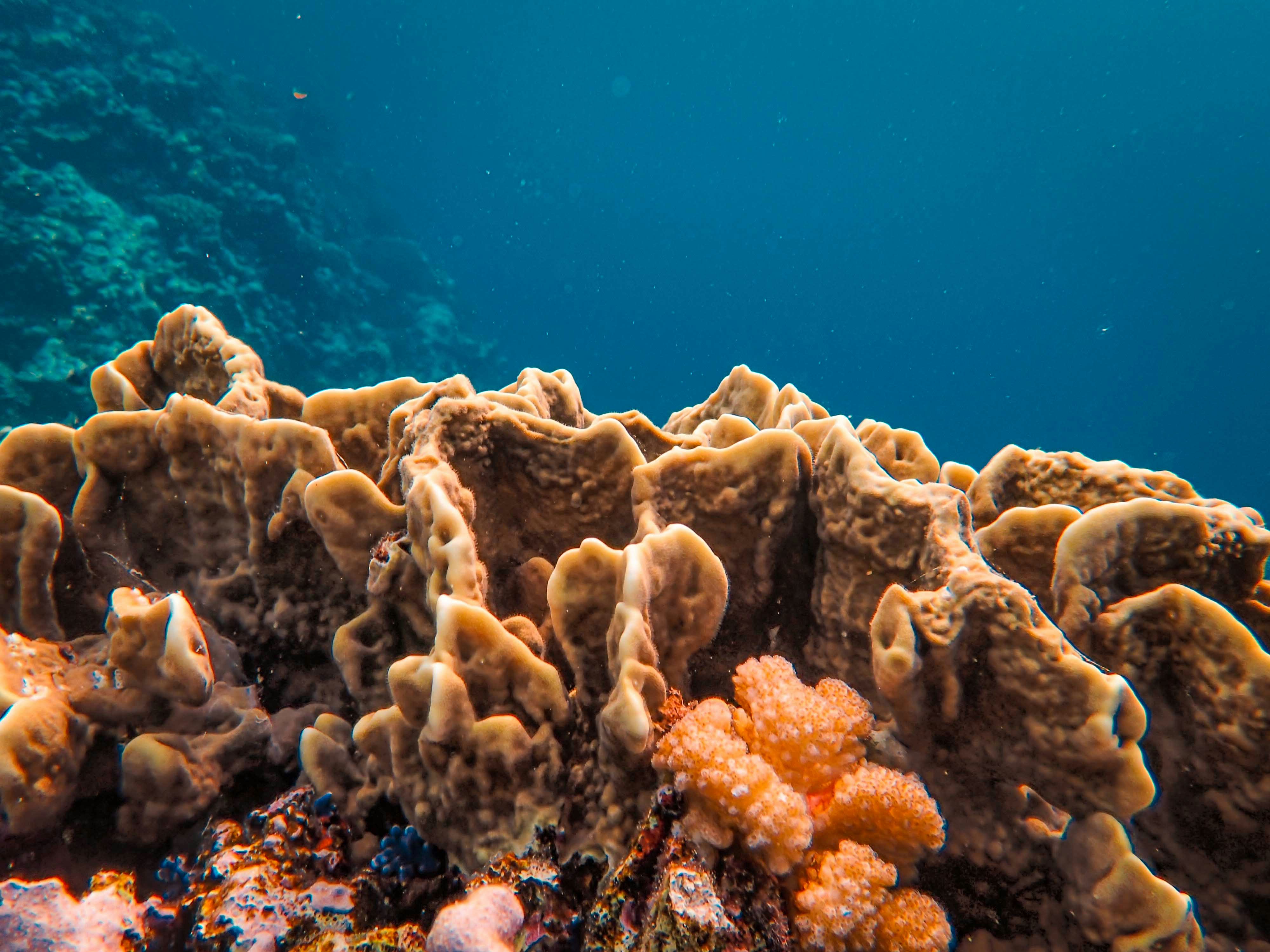 Photo by francesco_ungaro