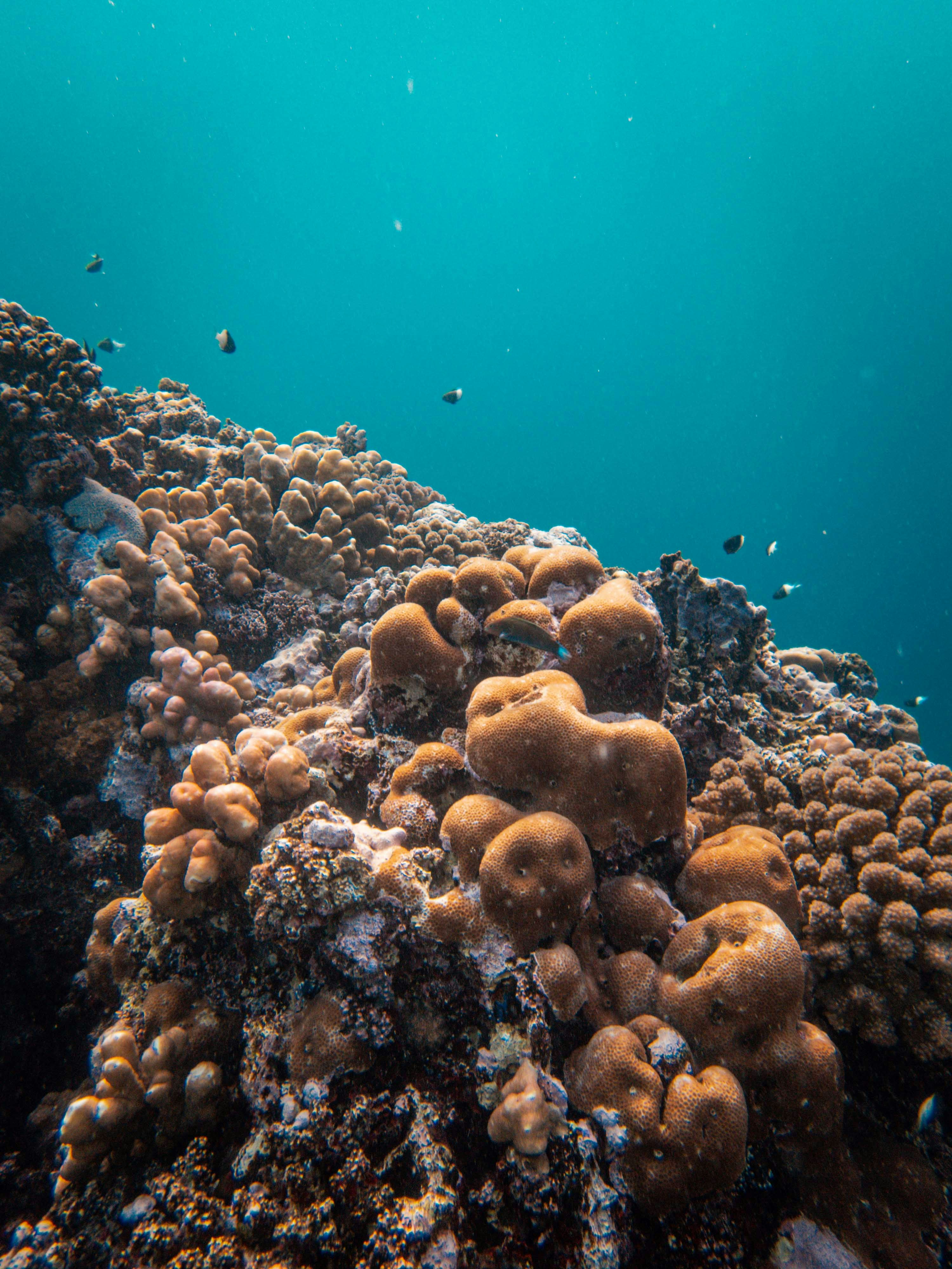 Photo by francesco_ungaro