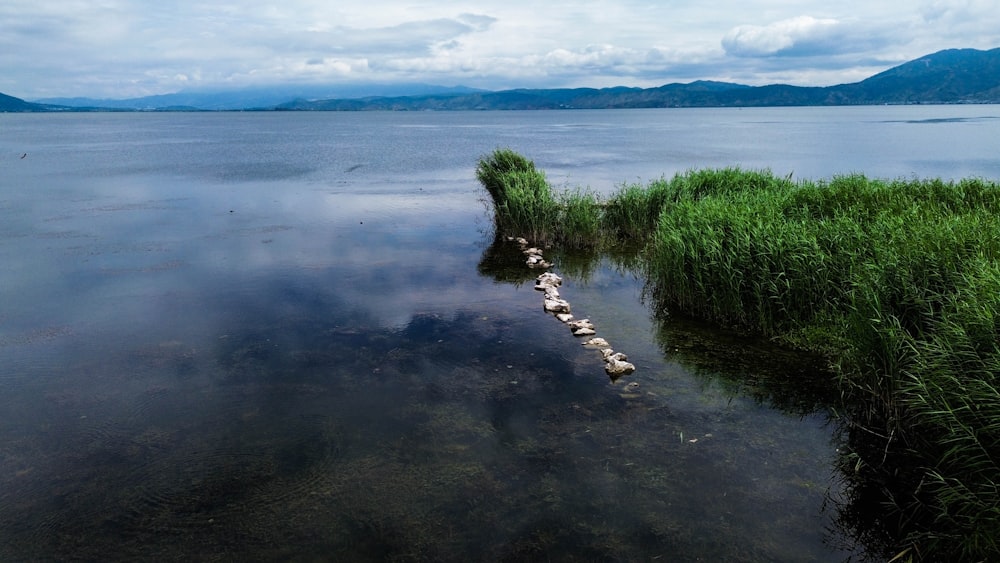 a body of water surrounded by grass and mountains