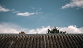 A wavy, corrugated metal rooftop extends across the image with a blue sky and scattered white clouds above. Tree branches with green leaves peek over the roof on the right side, and a small chimney is visible on the left.