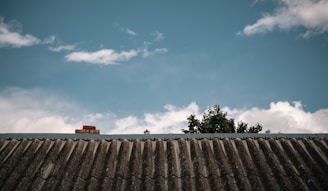A wavy, corrugated metal rooftop extends across the image with a blue sky and scattered white clouds above. Tree branches with green leaves peek over the roof on the right side, and a small chimney is visible on the left.