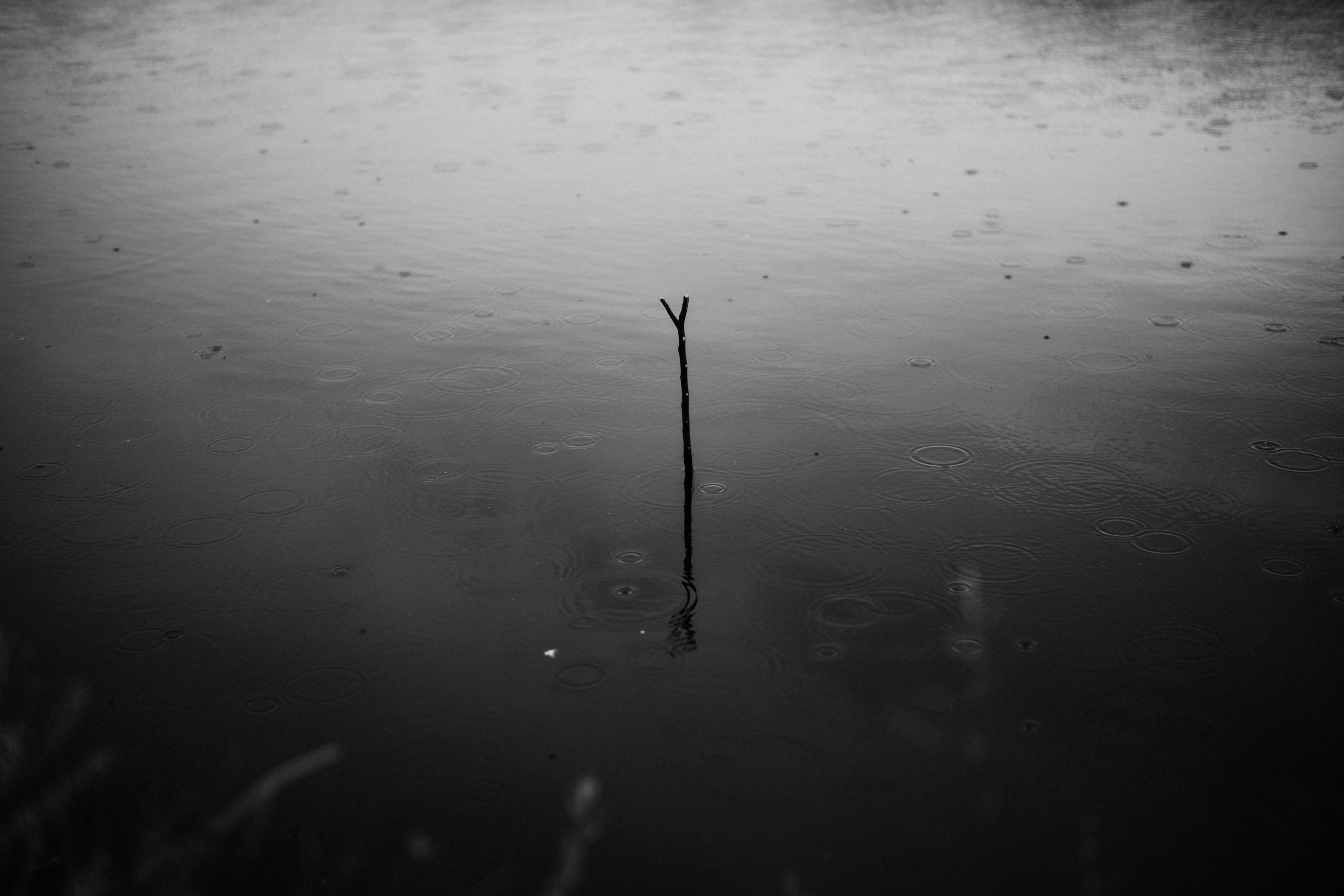 Photo by alluntsyatko