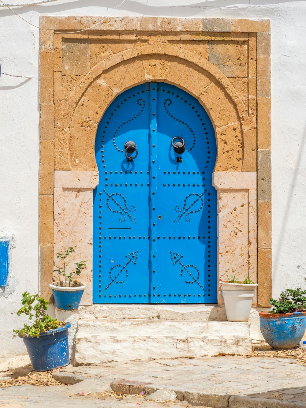 a blue door with two pots of plants in front of it