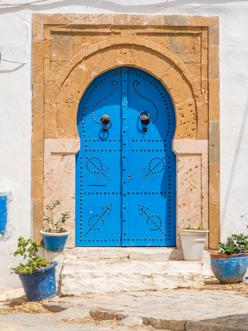 Carthage & Sidi Bou Sa&iuml;d - photo 4