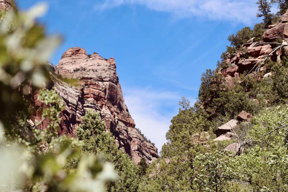 a view of a mountain with trees in the foreground