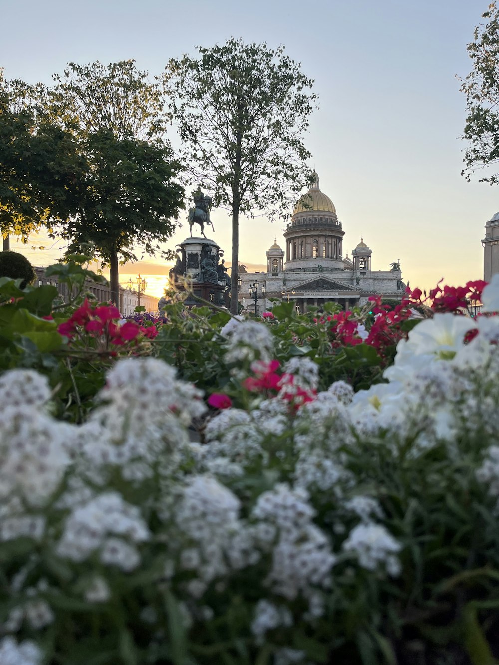 a bunch of flowers that are in front of a building