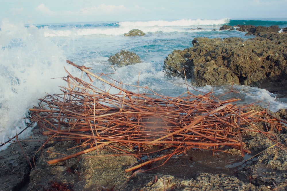 a pile of sticks sitting on top of a rocky beach
