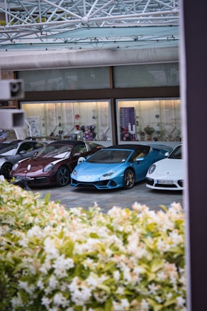Several high-end luxury sports cars are parked in a row underneath a modern glass and metal canopy. In the foreground, lush green and white flowering shrubs partially obstruct the view. The background displays a series of glass windows showcasing decorative items and artworks.