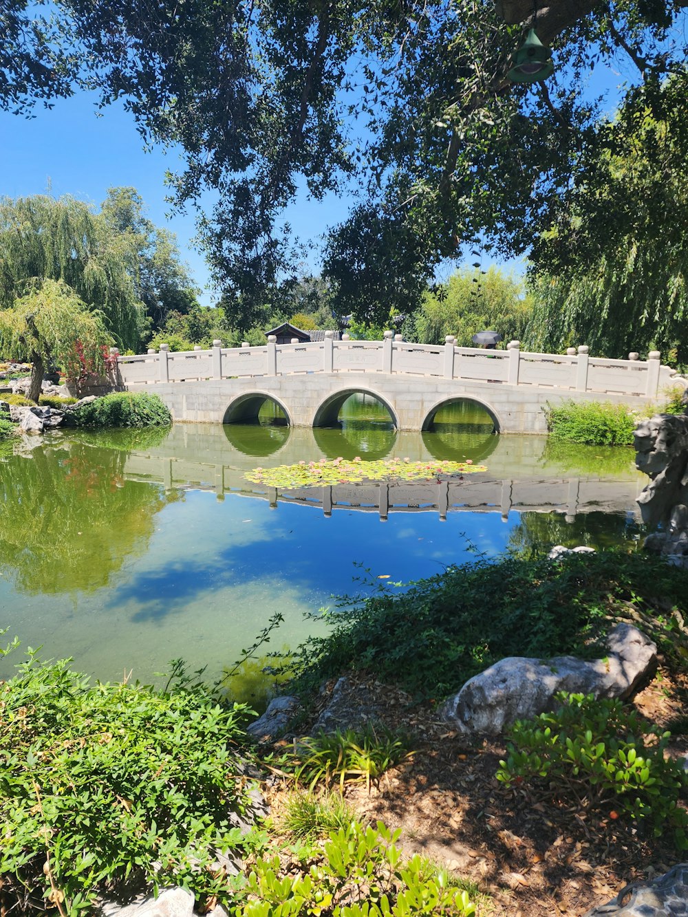 un pont au-dessus d’un étang dans un parc