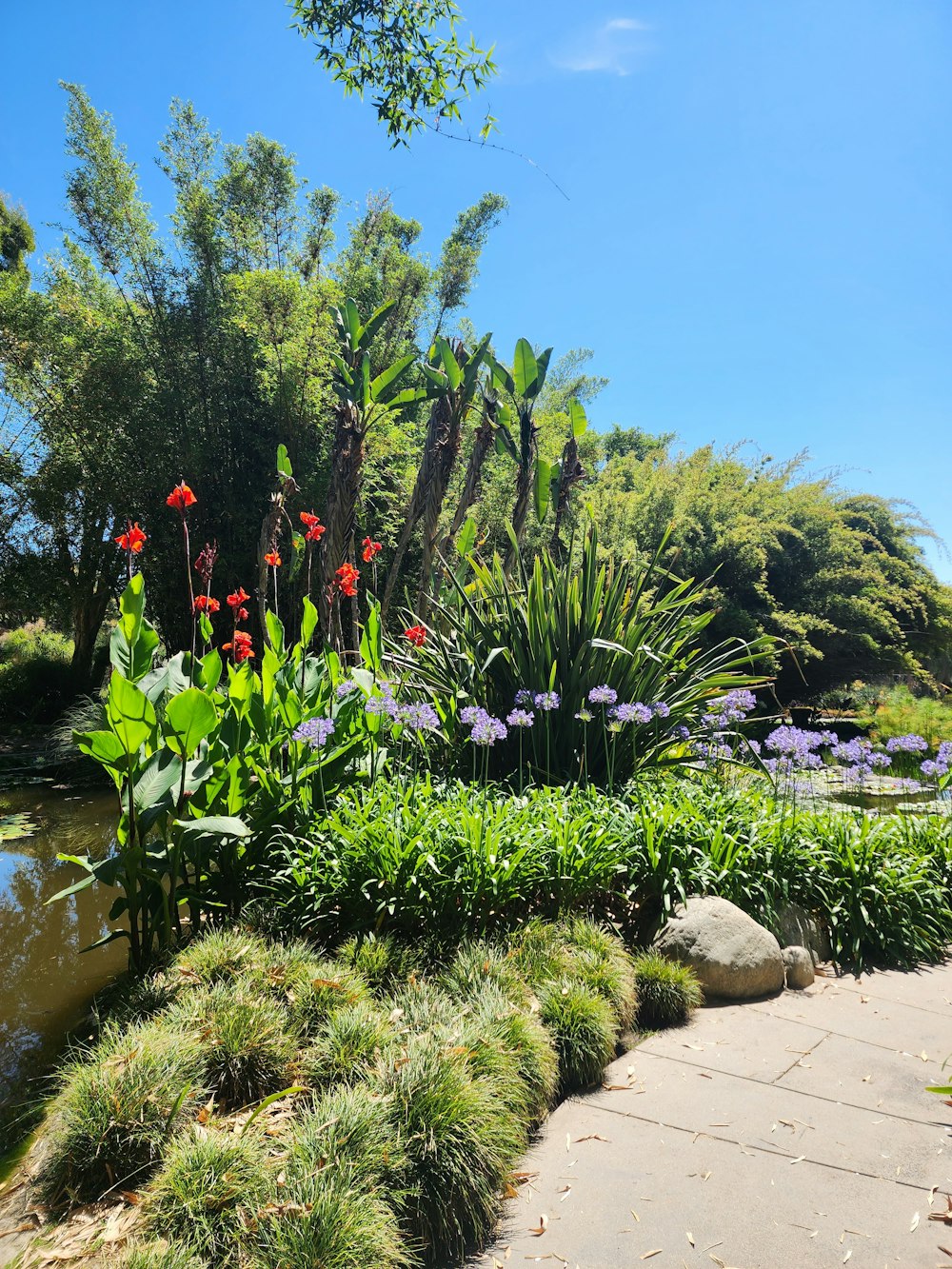 a garden with flowers and plants next to a river