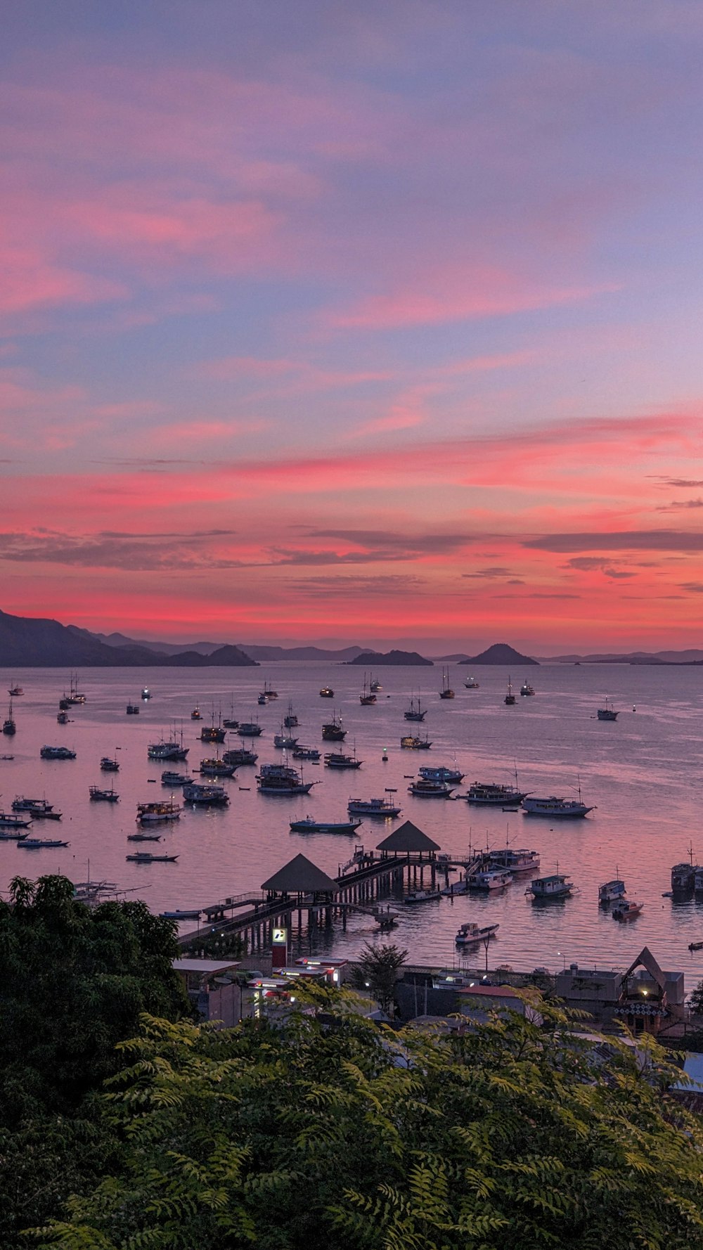 a harbor filled with lots of boats under a pink sky
