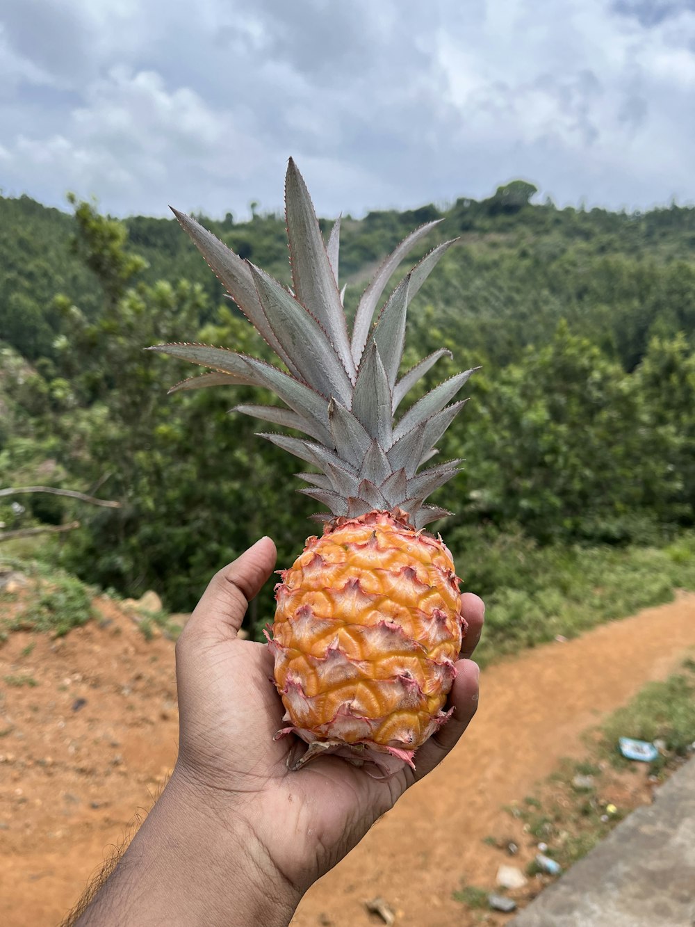 a person holding a pineapple in their hand