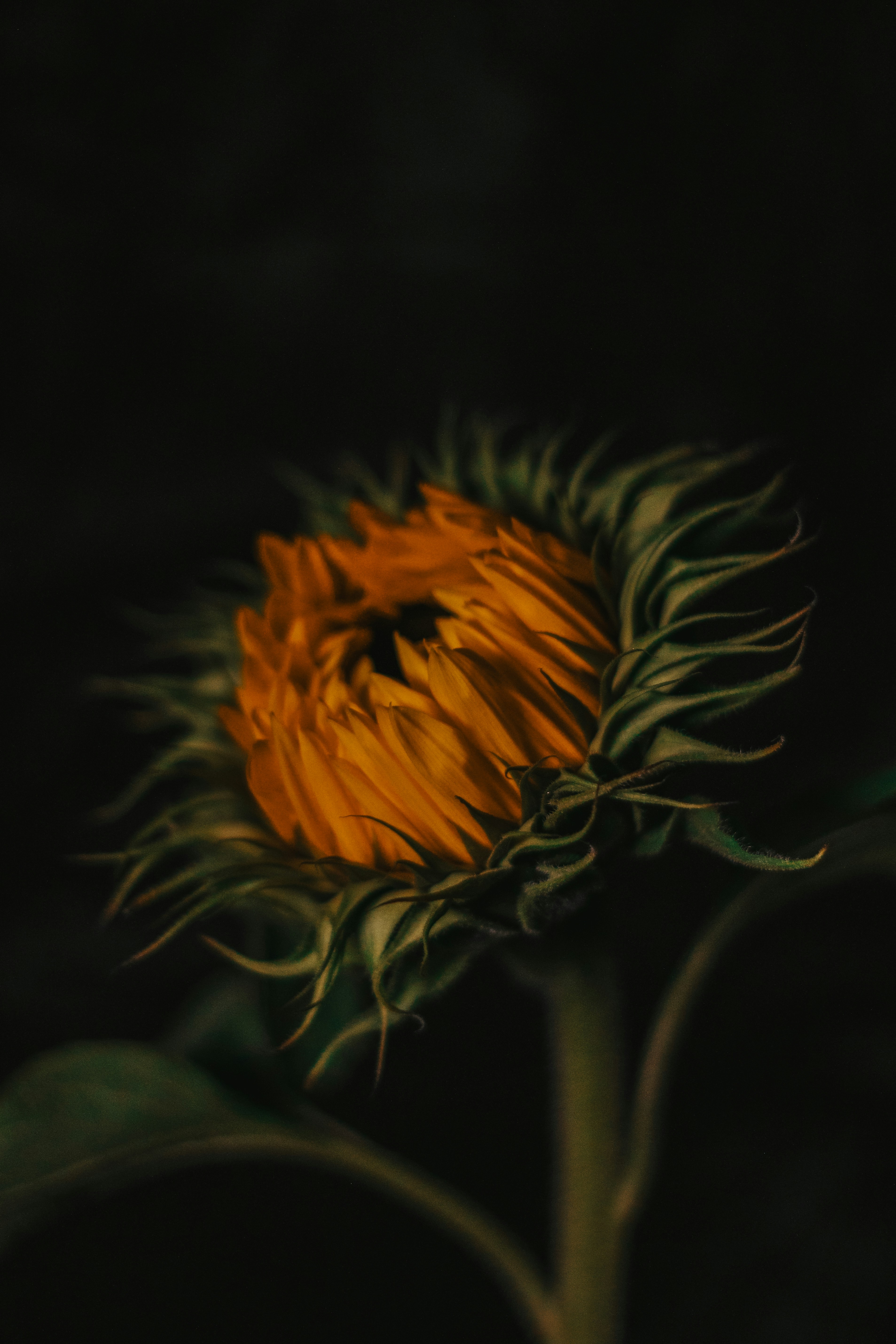 Photo by focalinsight