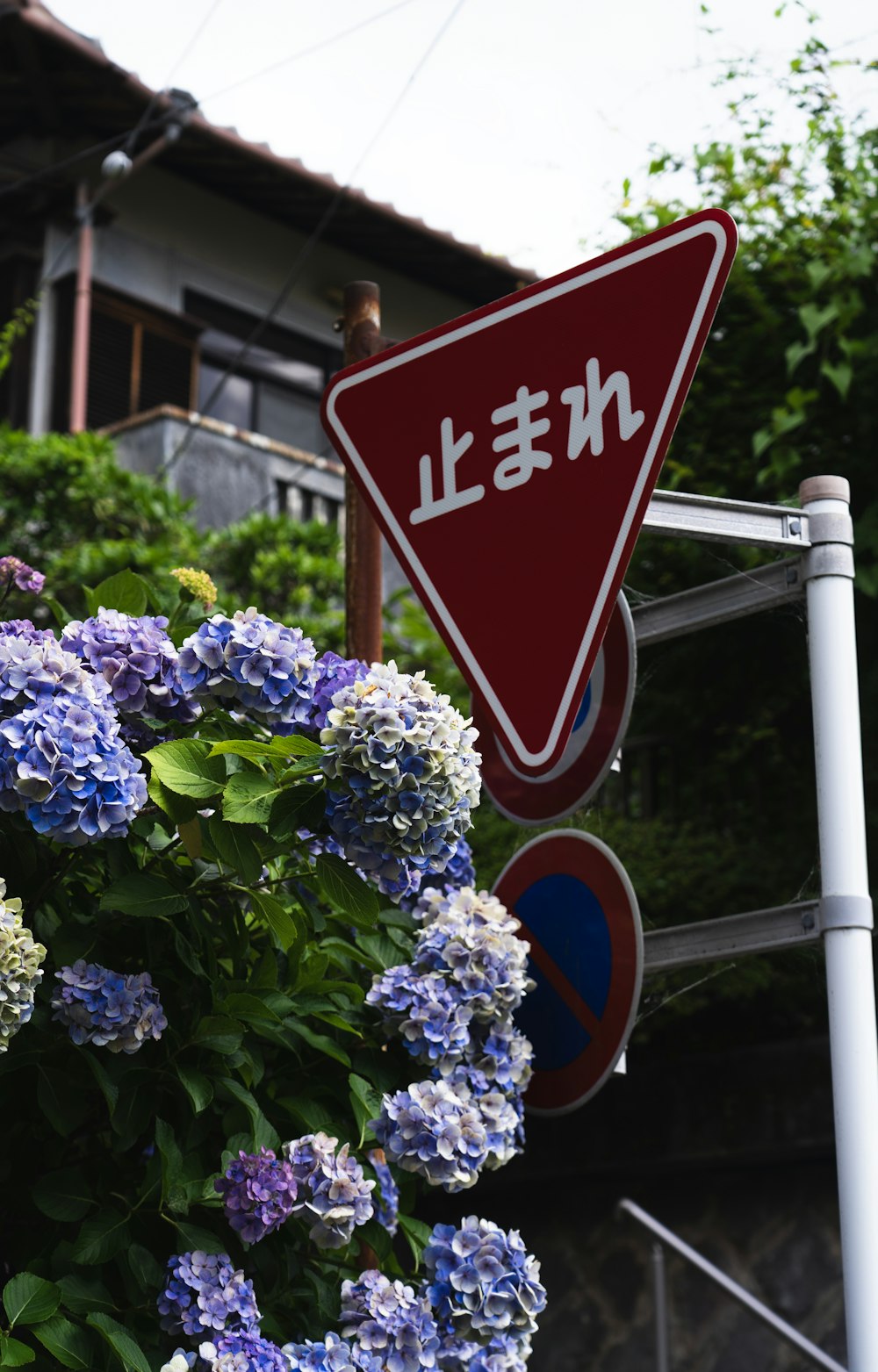 a street sign with a bunch of blue flowers in front of it