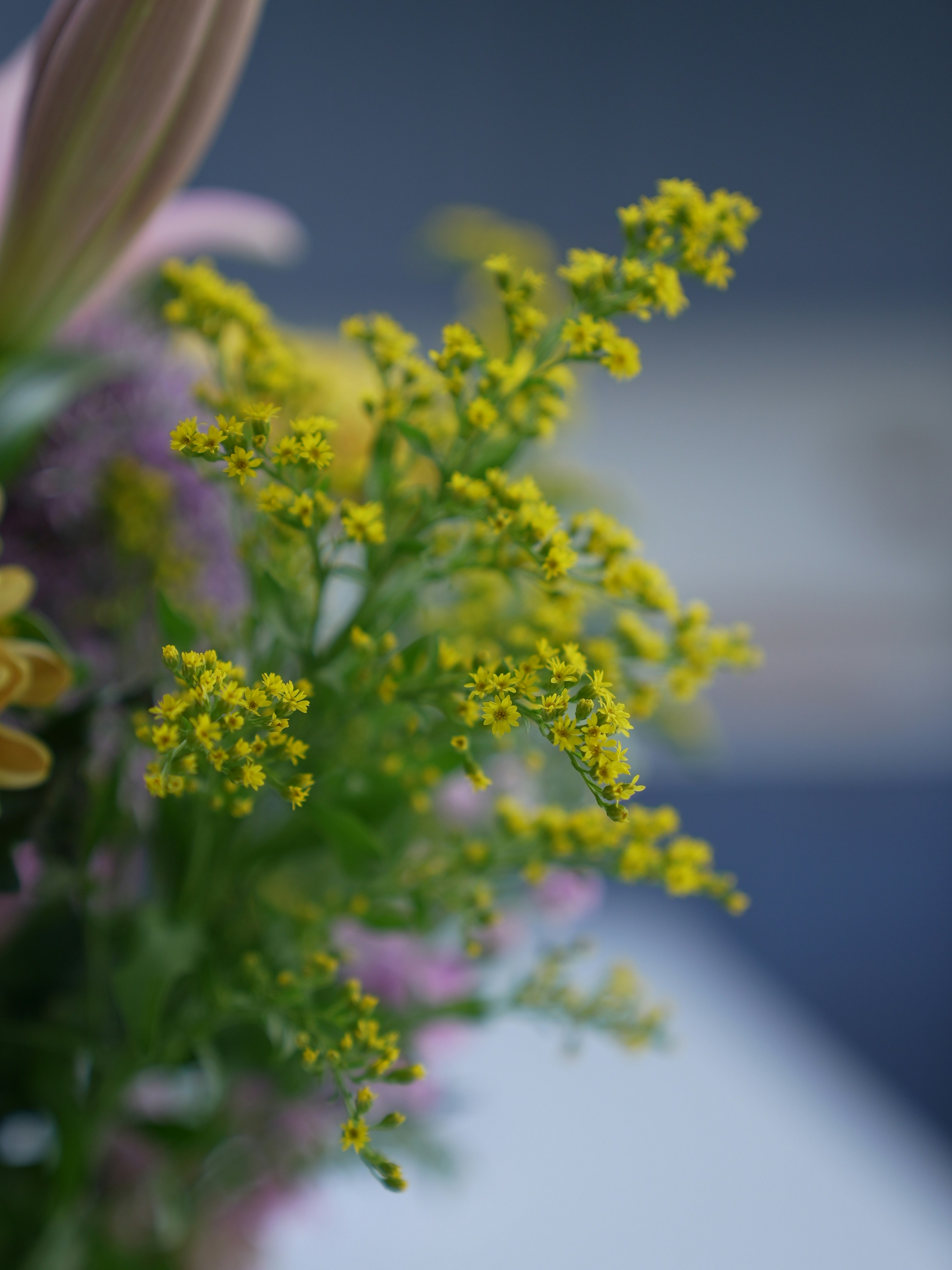 Photo by oscar_scannell