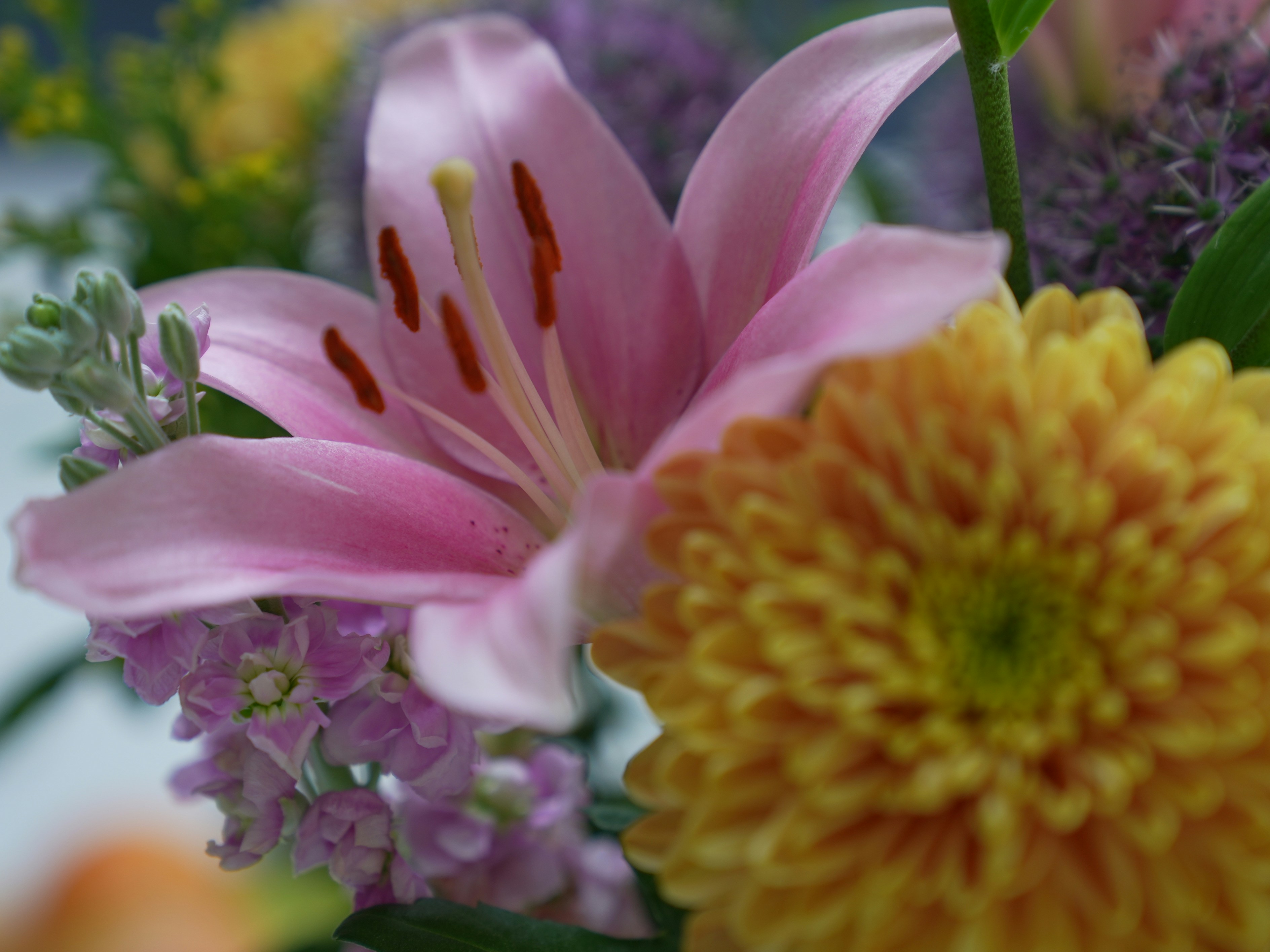 Photo by oscar_scannell